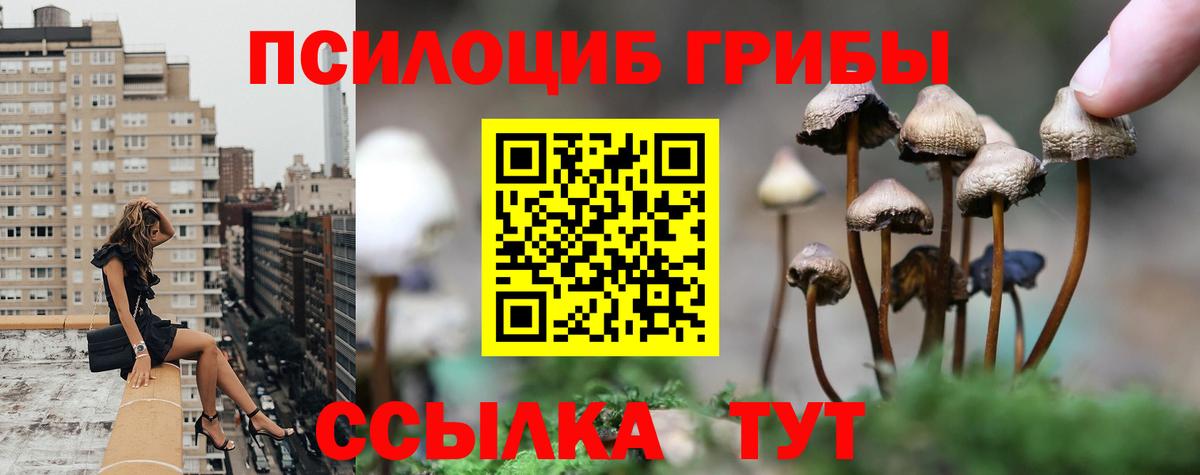 Галлюциногенные грибы мицелий Азов